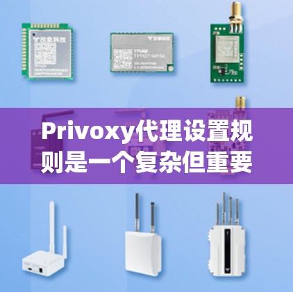 Privoxy代理设置规则是一个复杂但重要的系统，涉及服务器配置、规则设置以及权限管理等关键部分。以下是对Privoxy代理设置规则的详细分析和步骤指南