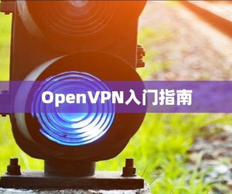 OpenVPN入门指南