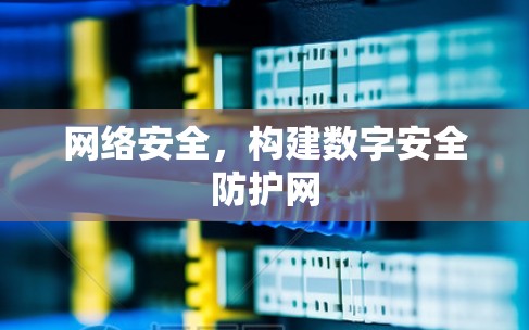 网络安全，构建数字安全防护网