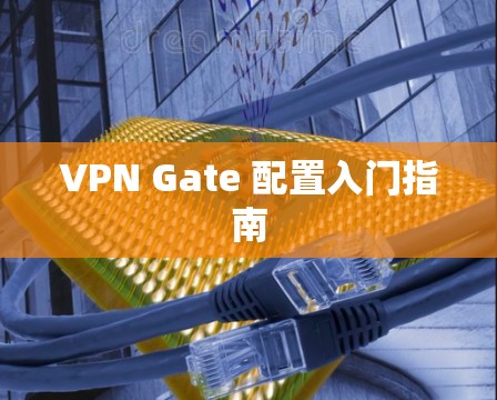 VPN Gate 配置入门指南